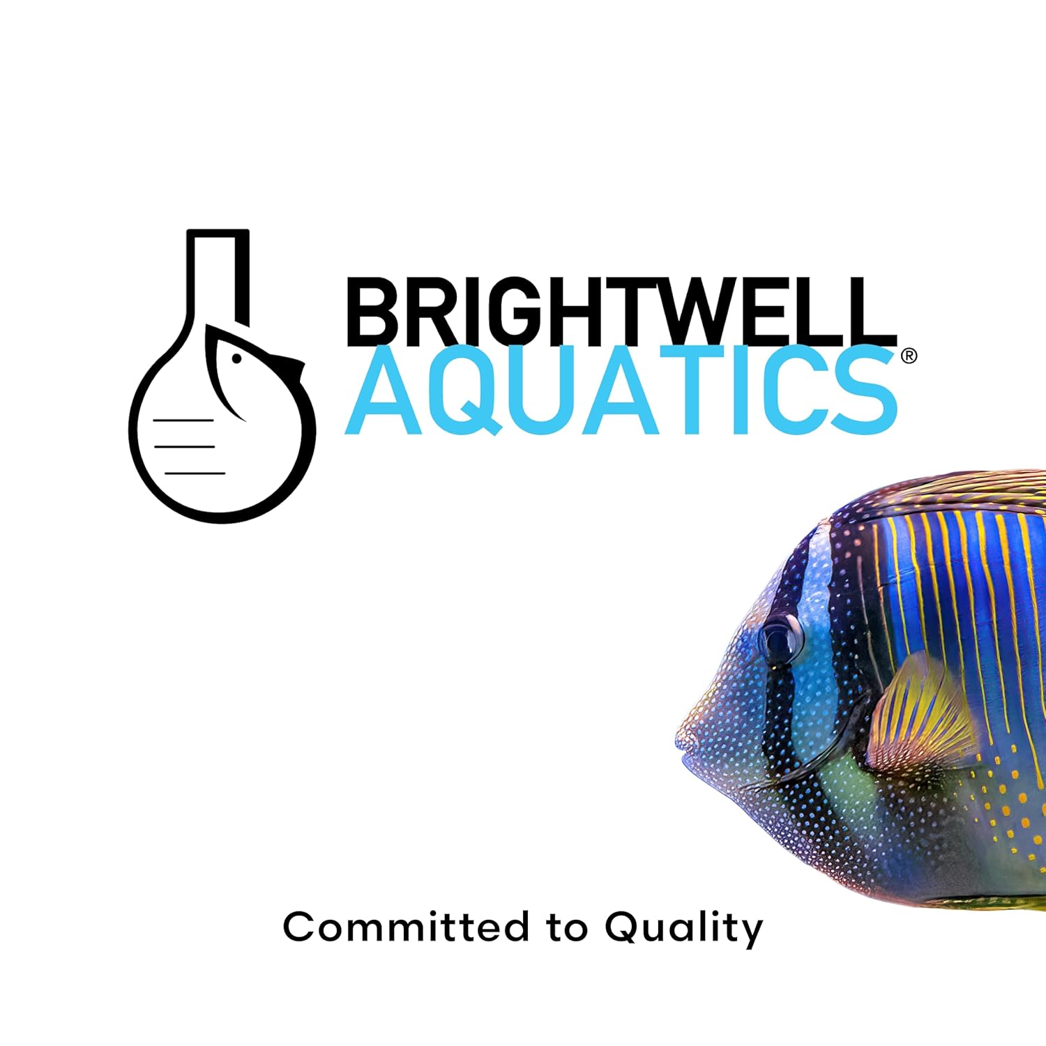 Brightwell Aquatics FlorinVita – Comprehensive Vitamin Supplement for Pond Fish & Snails – Supports Health, Color, & Spawning Readiness, 2L
