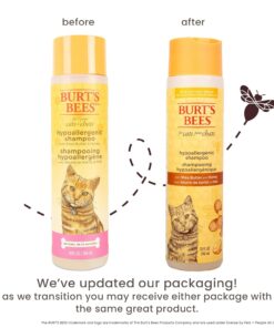 Burt's Bees for Pets Hypoallergenic Cat Shampoo with Shea Butter and Honey, Gentle Formula for Indoor Cats with Dry or Sensitive Skin, pH Balanced, Fragrance-Free, 10 Fl Oz