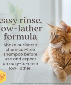 Burt's Bees for Pets Hypoallergenic Cat Shampoo with Shea Butter and Honey, Gentle Formula for Indoor Cats with Dry or Sensitive Skin, pH Balanced, Fragrance-Free, 10 Fl Oz