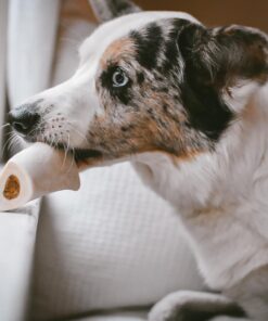 Cadet Stuffed Shin Bone, Long-Lasting Dog Chew Bones for Aggressive Chewers, High Protein Filled Bone Dental Chew for Dogs, Peanut Butter Flavor Filling, 3-4