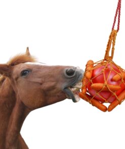 Carrot Feed Toy - Hanging Carrot Feeding Toy with Treat Ball for Horse Stable