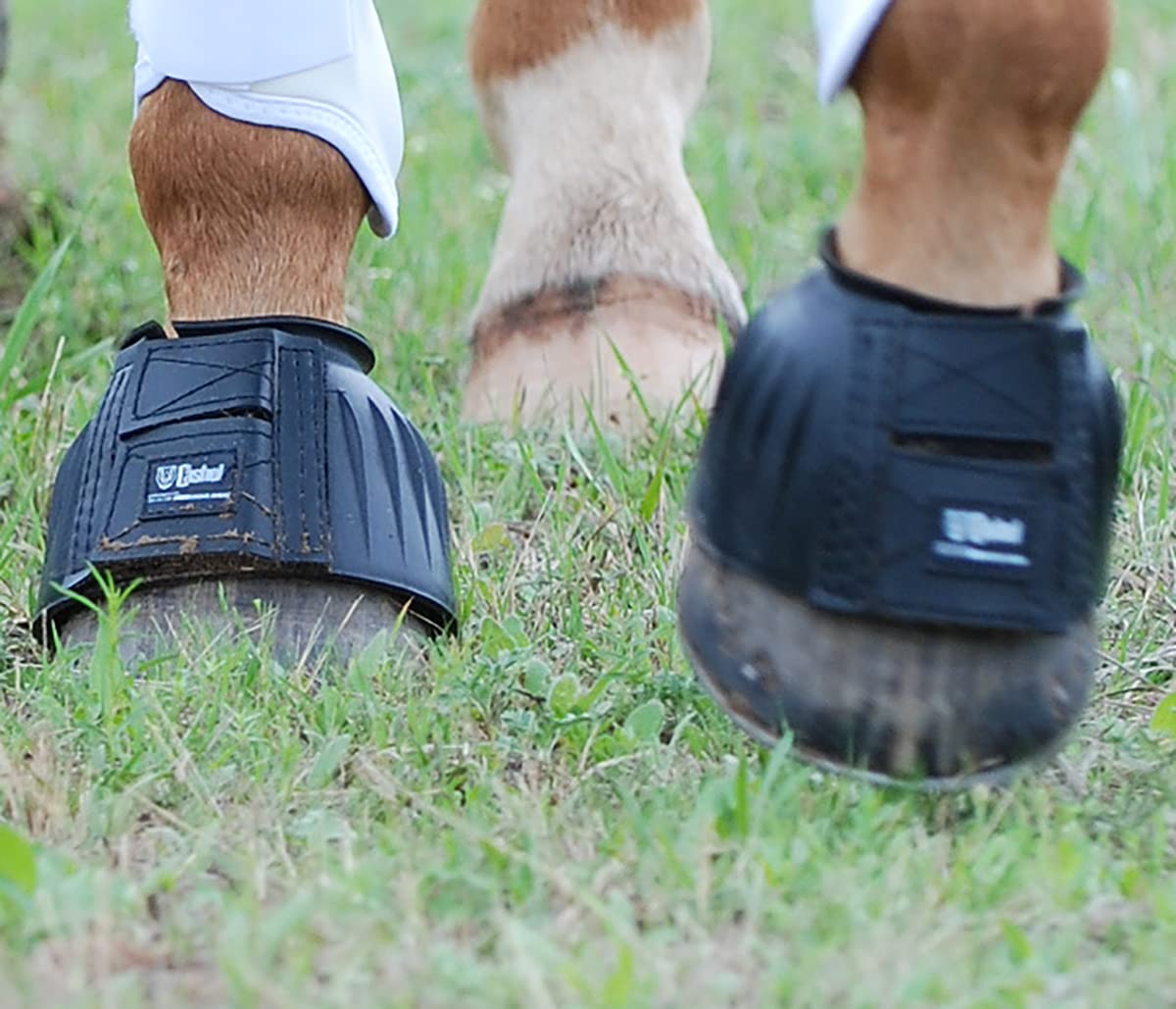 CASHEL Bell Boots Rubber, Black, Size: M (BB-BL-M)