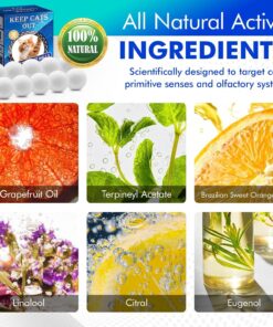 Cat Deterrent Outdoor & Indoor: 10Pack 100% Natural Cat Repellent Essential Oils Ball, Keep Cats Off Lawn, Yard, Plants, Garden, Mulch & Flower Permanently Against Scratch Chew,...