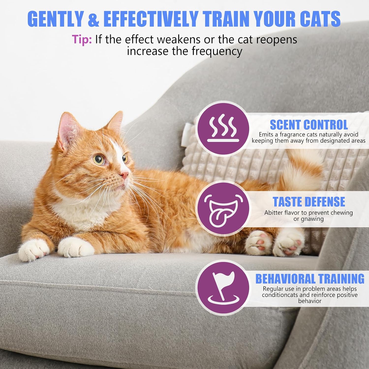 Cat Deterrent Spray - Cat Scratch Deterrent Spray for Furniture Protection, Effective Training Aid with Natural Ingredients - Non-Toxic Formula for Cats and Kittens Light 7.0 fl.oz