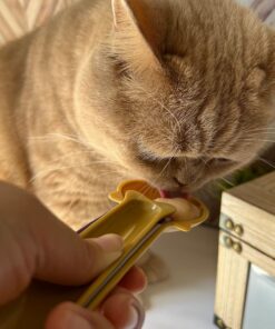 Cat Treat Dispenser – Wet Treat Squeezer for Puree & Bisque, Green
