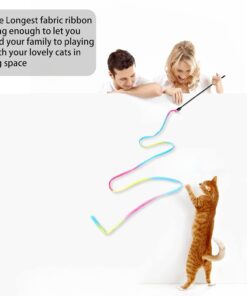 Cat Wand Toys Interactive Kitten Toys for Indoor Cats Colorful Teaser Wand String for Exercise Kitten Stick Kitty Rope Toy Rainbow Ribbon Cat Charmer -2Pcs