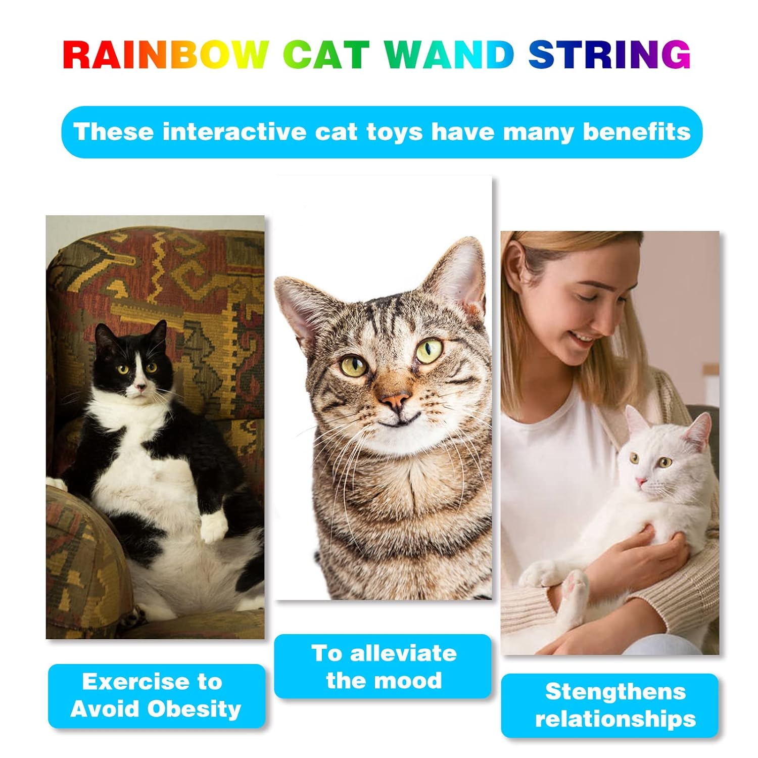 Cat Wand Toys Interactive Kitten Toys for Indoor Cats Colorful Teaser Wand String for Exercise Kitten Stick Kitty Rope Toy Rainbow Ribbon Cat Charmer -2Pcs