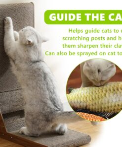 Catnip Spray for Cats, Highly Potent for Energizing Play & Toy Renewal, Calming Stress Relief for Indoor Cats, 100% Natural Dual-Plant Formula for Cats & Kittens, Mess-Free...