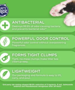 Cat's Pride NEW Antibacterial Cat Litter: Destroys 99.9% of Odor-Causing Bacteria - Powerful Odor Control - Premium Lightweight Clumping Litter - Scented, 12 Pounds