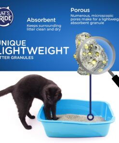 Cat's Pride NEW Antibacterial Cat Litter: Destroys 99.9% of Odor-Causing Bacteria - Powerful Odor Control - Premium Lightweight Clumping Litter - Scented, 12 Pounds