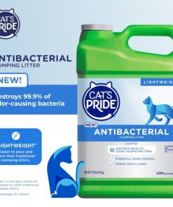 Cat's Pride NEW Antibacterial Cat Litter: Destroys 99.9% of Odor-Causing Bacteria - Powerful Odor Control - Premium Lightweight Clumping Litter - Scented, 12 Pounds