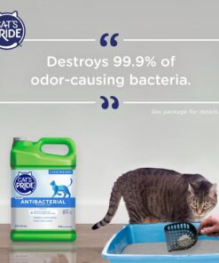 Cat's Pride NEW Antibacterial Cat Litter: Destroys 99.9% of Odor-Causing Bacteria - Powerful Odor Control - Premium Lightweight Clumping Litter - Scented, 12 Pounds