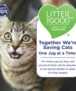 Cat's Pride NEW Antibacterial Cat Litter: Destroys 99.9% of Odor-Causing Bacteria - Powerful Odor Control - Premium Lightweight Clumping Litter - Scented, 12 Pounds