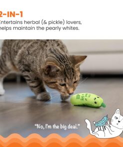 Catstages Crunchy Pickle Kicker Cat Toy – Plush Crinkle Toy with Catnip and Dental Mesh, 6.5