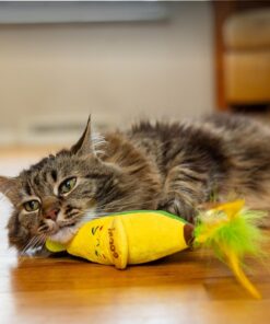 Catstages Peelin' Good Banana Kicker Dental Catnip Toy, Yellow