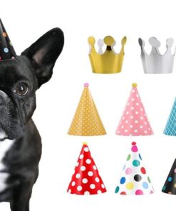 CBM Dog Party Hat Set - Dog Birthday Hats and Crowns - 11pcs