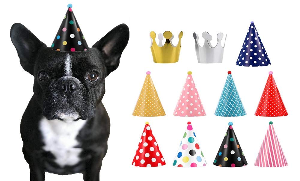 CBM Dog Party Hat Set - Dog Birthday Hats and Crowns - 11pcs