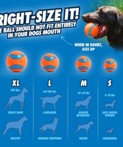 Chuckit! Dog Balls - Interactive Dog Toys, High-Bounce Fetch Ball, Ultra and Rugged Balls, Durable - Size Medium, 2.5-inch Diameter, Set of 3