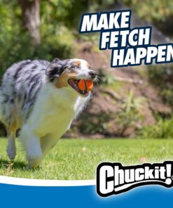 Chuckit! Dog Balls - Interactive Dog Toys, High-Bounce Fetch Ball, Ultra and Rugged Balls, Durable - Size Medium, 2.5-inch Diameter, Set of 3