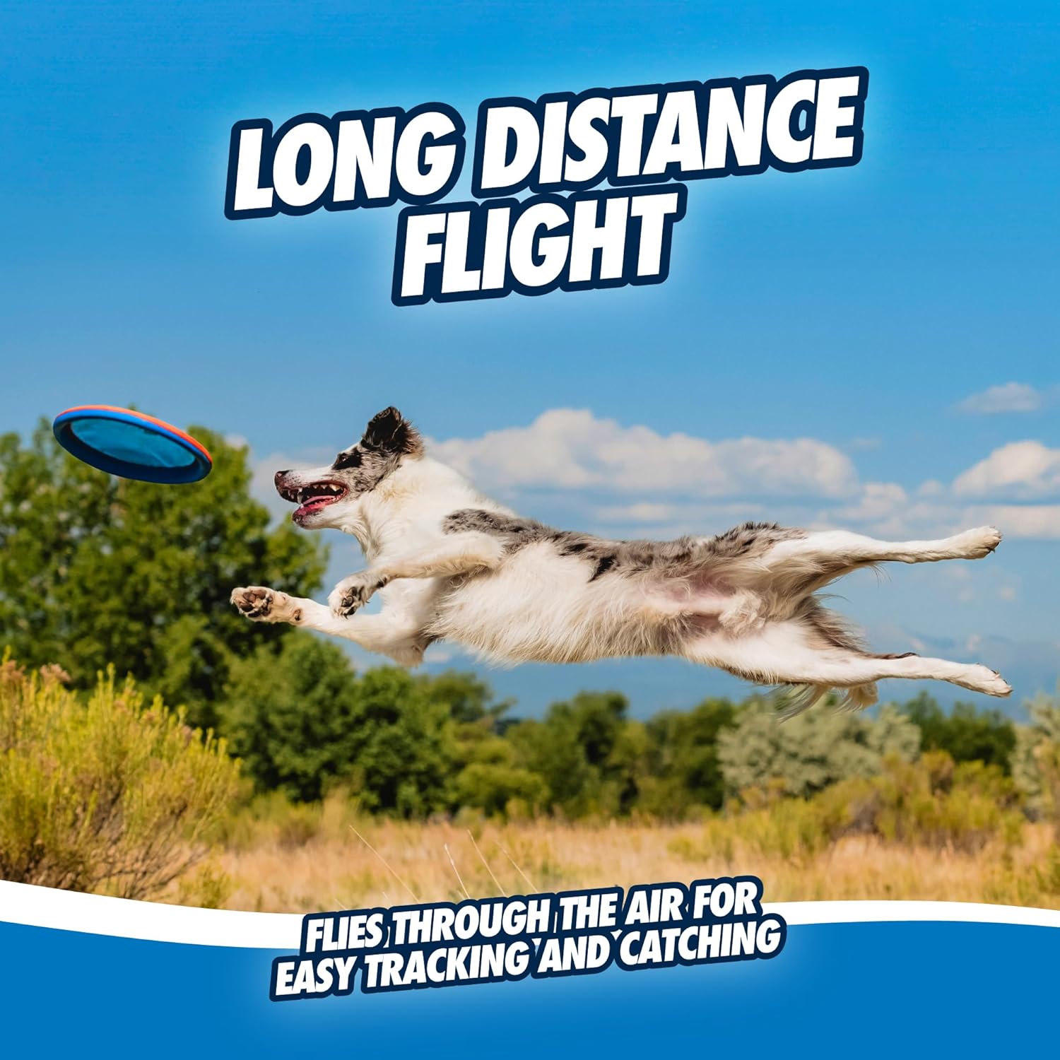 Chuckit! Paraflight Flying Disc Dog Toy - Water Floating Flyer - Durable Nylon Construction with Soft Rubber Edges - For Medium and Large Dogs - Size Large - 9.75" L x 9.75" W -...