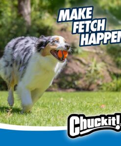 Chuckit! Ultra Ball Dog Toy - Medium Bouncy Fetch Balls For Dogs 20-60 lbs - Made from Durable Rubber - Floating Water Pet Toys - Size Medium - 2.5-inch Diameter - Pack of 4