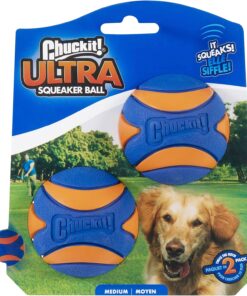 Chuckit! Ultra Ball Dog Toy - Medium Bouncy Fetch Balls For Dogs 20-60 lbs - Made from Durable Rubber - Floating Water Pet Toys - Size Medium - 2.5-inch Diameter - Pack of 4