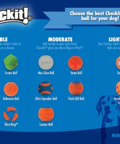 Chuckit! Ultra Squeaker Ball Dog Toy, Large (3 Inch) 1 Pack, for Large Breeds
