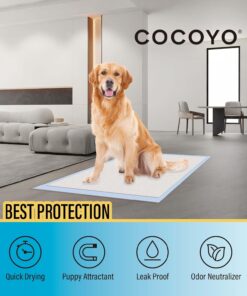 COCOYO Best Value 22