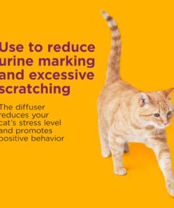 COMFORT ZONE Multi Cat Calming Diffuser Refill, 6 Pack – Cat Calming Pheromone Refills Help Reduce Anxiety, Stress, Scratching, Urine Marking, Multi-Cat Aggression, (30-Day...