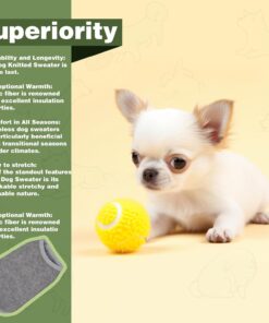 Cozy and Functional Dog Shirts for Small Puppies: Stretchable Ginger Attire with Easy-On Design, Ideal for Chihuahuas and Yorkies - Enhance Comfort and Playfulness on Chill Days...