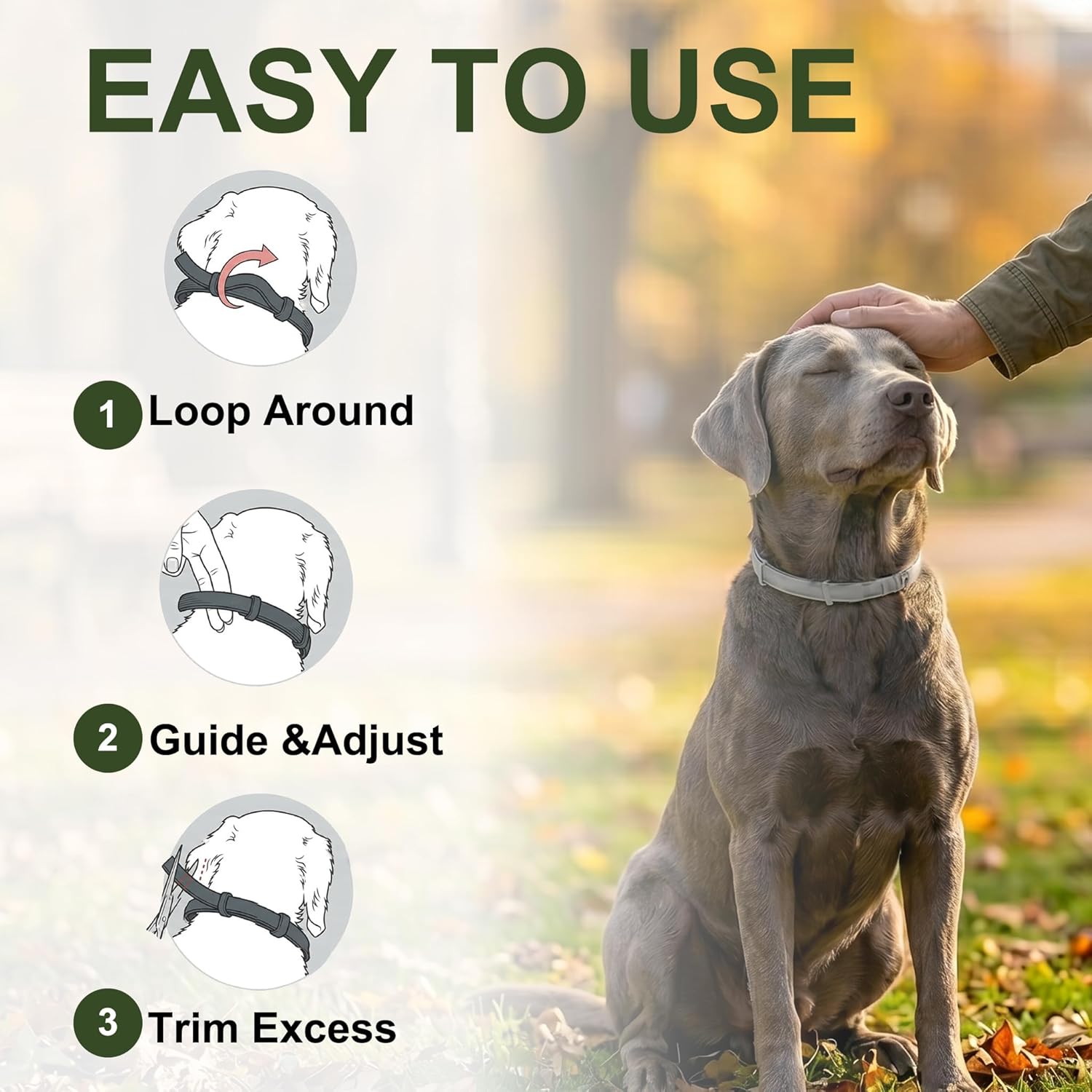 Craveit Dog Flea Collar, 2 Pack Flea Collar for Dogs Large, Gentle Plant-Based Tick Repellent for Large Dog, Waterproof & Adjustable, 8-Month Long-Lasting Defense