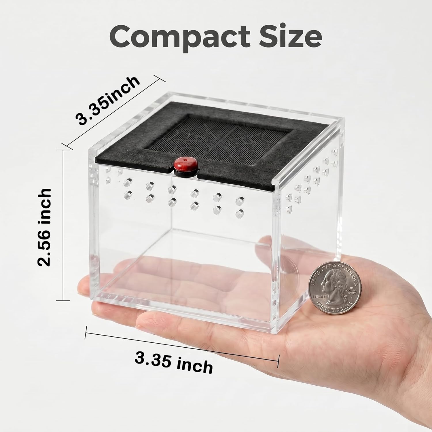 Cricket Keeper - Escape-Proof Insect Habitat Container for Dubia Cockroaches, Tarantulas, Spiders and Breadworms - Ventilated Bug Cage with Feeding Bowl (No Assembly Needed) (Grey)
