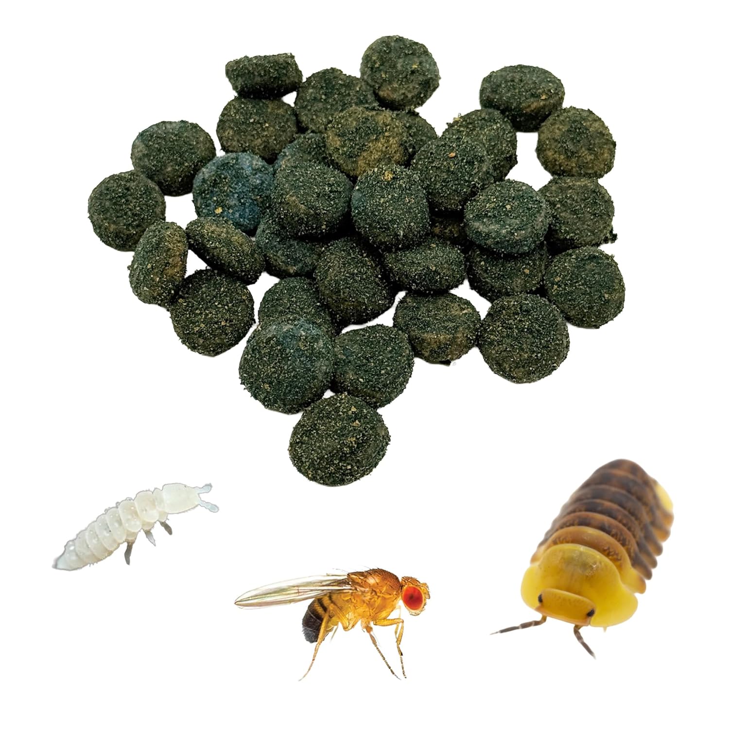 CTWPets Clean Up Crew Bites – Bioactive Terrarium Food for Isopods, Springtails, Millipedes & Fruit Flies | Microfauna Booster for Bioactive Enclosures - 2.5oz