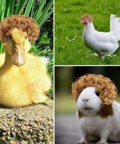 Cute Funny Brown Big Goose Curly Hair Exploding Head Wigs Chook Hamster Wig Porch Goose Synthetic Wig for Lawn Garden Outdoor Decor Pet Accessories for Halloween Christmas Eve...