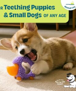 Cutie Chewies Hedgehog Dental Dog Chew Toy — Multi-Textured, Massages Gums, Floats & Bounces for Teething Puppies & Small Dogs, 5