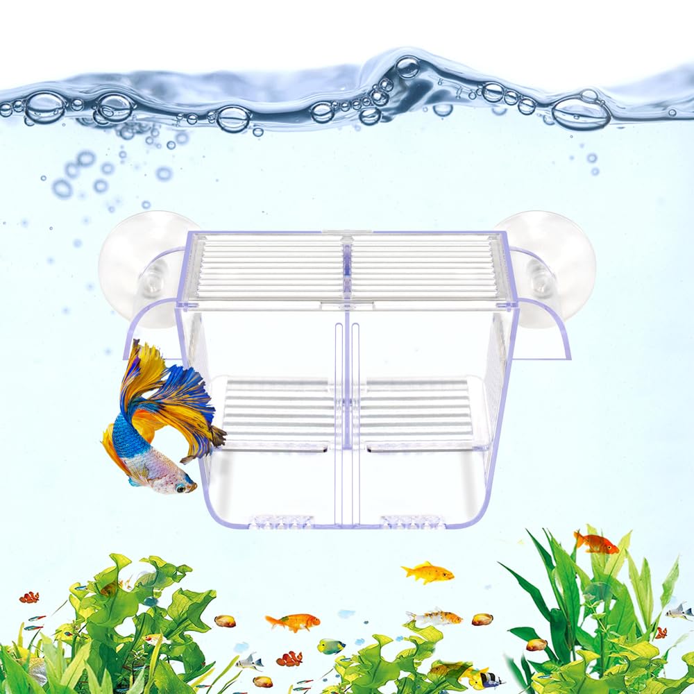 DaToo Fish Breeding Box Aquarium Holding Tank Transparent Fish Isolation Box Acclimation Hatchery Incubator Breeder for Betta Shrimp Clownfish Guppy