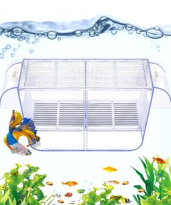 DaToo Fish Breeding Box Aquarium Holding Tank Transparent Fish Isolation Box Acclimation Hatchery Incubator Breeder for Betta Shrimp Clownfish Guppy
