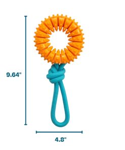 Dental Chew Wheel Dog Toy – Ring & Rope Tug, Multi-Textured, Soft on Teeth, Moderate Chewers, Mint Scented, 9
