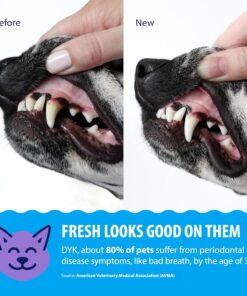 Dental Fresh Plaque & Tartar Control Water Additive for Dogs & Cats – Helps Support Clean Teeth, Healthy Gums & Fresh Breath Just add to Water – Advanced Formula Oral Care, 17...