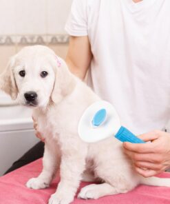 Depets Self Cleaning Slicker Brush, Dog Cat Bunny Pet Grooming Shedding Brush - Easy to Remove Loose Undercoat, Pet Massaging Tool Suitable for Pets with Long or Short Hair