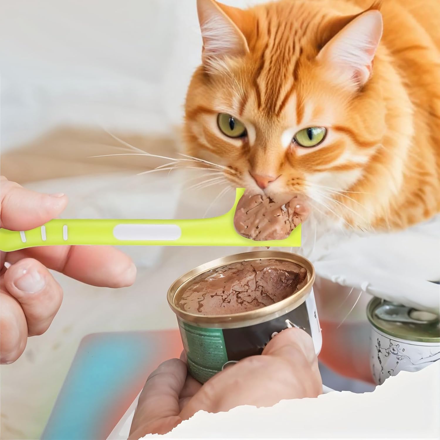 Dimeho 6 Pcs Pet Food Can Spoon Set - Square Head Design, Long Handle - Cat & Dog Food Canned Wet Pet Food Spoons - 6 Count - Pink, Grey, Green