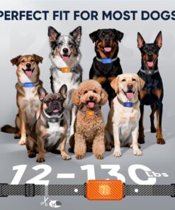 Dog Bark Collar for Large Medium Small Dogs, Effective No-Bark Collar, Smart Barking Collar, Rechargeable Bark Collar with 7 Sensitivity, 3 Modes, Waterproof, Neon Orange