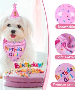 Dog Birthday Decorations, Dog Birthday Hat with Numbers for Large Medium Small,Pet Supplies (Pink)