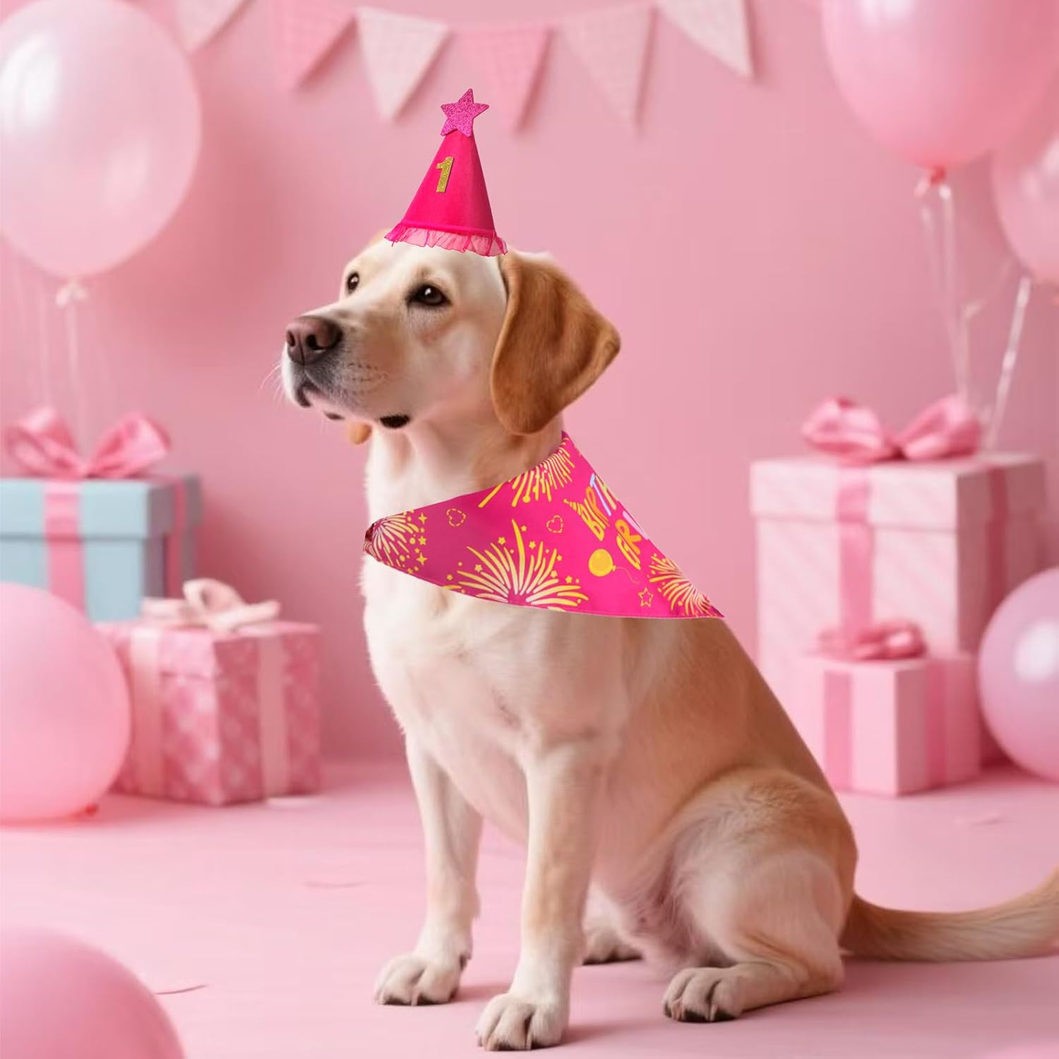 Dog Birthday Decorations Rose Pink, Dog Birthday Party Supplies with Hat Bandana Numbers for Large Medium Girl Pets Puppy