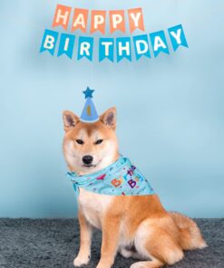 Dog Birthday Party Supplies, Dog Birthday Bandana Set, Dog Boy Girl Birthday Party Hat with Numbers for Large Medium Small Dogs Pet (Blue)