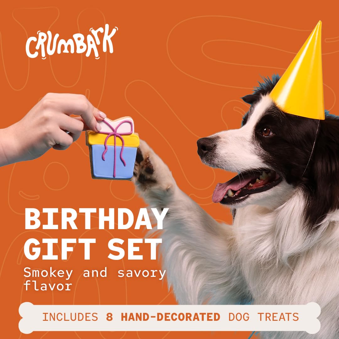 Dog Birthday Treats | Hand-Decorated Treats – 8 Pack in Gift Box | Extra Large Treat 62g Cookie, Vegan Dog Birthday Cake