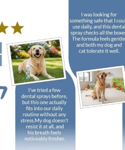 Dog Dental Spray Removes Tartar, Plaque and Freshens Breath Instantly. The Most Advanced Dental Spray for Healthy Teeth, Gums and Oral Health Care for Your Dog, Cat or Pet - 1-8...