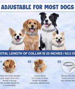 Dog Flea and Tick Collar (2 Pack) – Natural Waterproof Flea Collar for Dogs & Puppies with 8 Month Protection Adjustable Dog Flea Collar Includes Tick Removal Tools & Flea Comb
