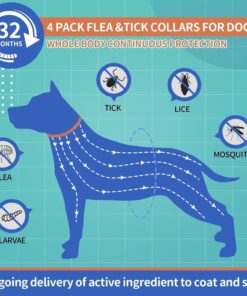 Dog Flea and Tick Collar 4 Pack, Waterproof Adjustable Collar for Dogs and Puppies, 32-Month Prevention, Blue & Orange