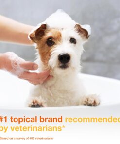 Douxo S3 Pyo Shampoo, Contains 3% Chlorhexidine & 0.5% Ophytrium, Antiseptic & Hydrating, For Bacterial or Yeast Skin Infections, For Dogs and Cats, 6.7 fl. oz. (200mL)